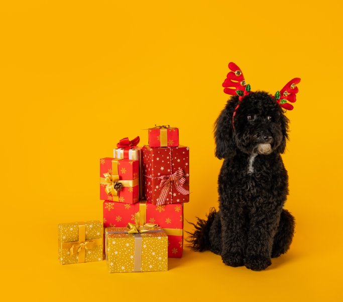 Cadeaux Animaux