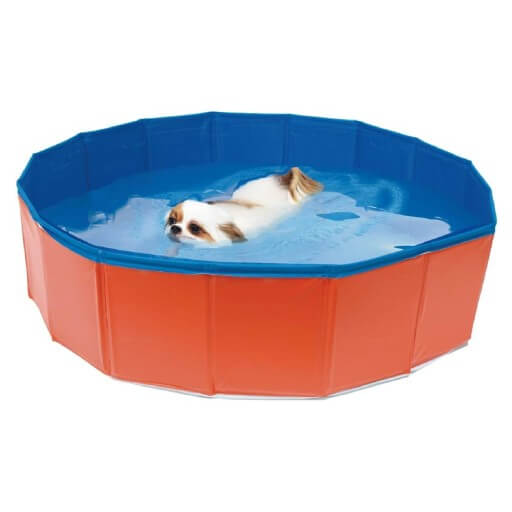 Croci piscine chien