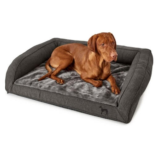 Canape orthopedique chien