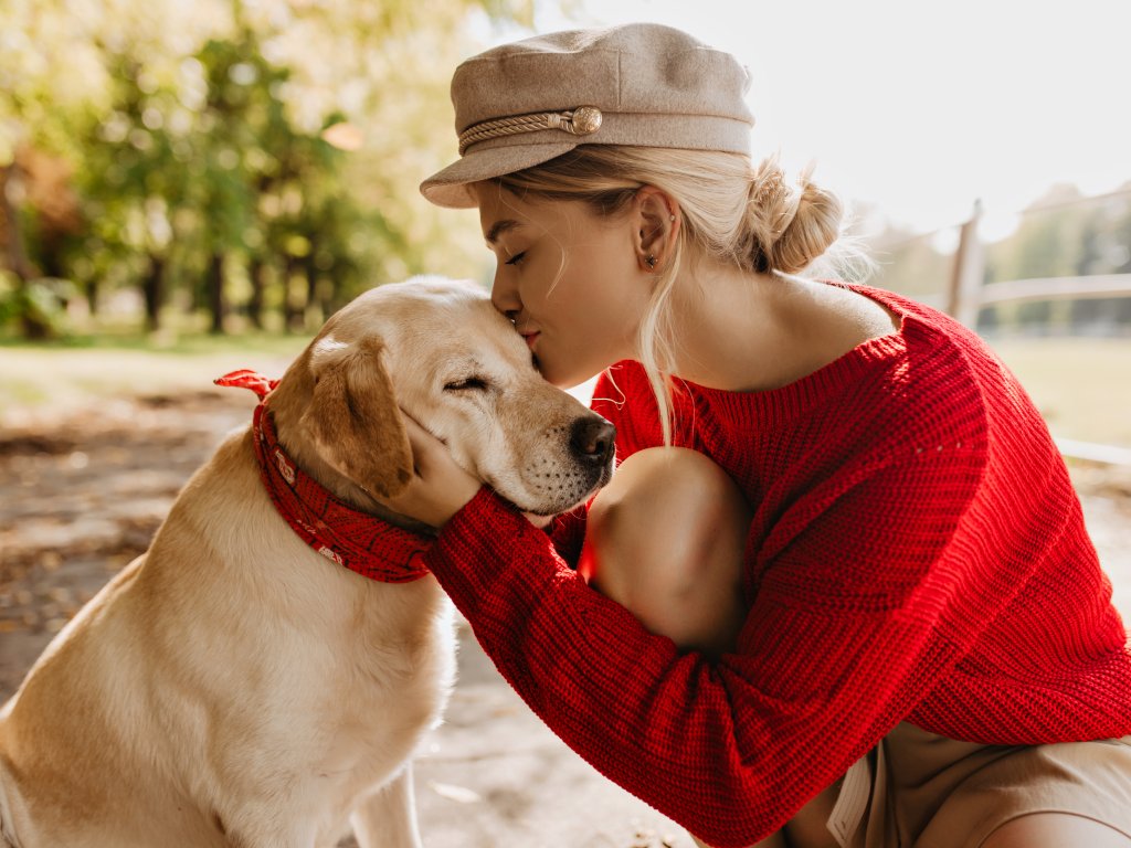 Cadeaux pour passionnés d'animaux