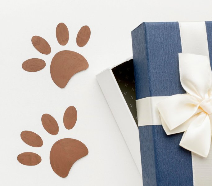 coffrets cadeaux pour chien