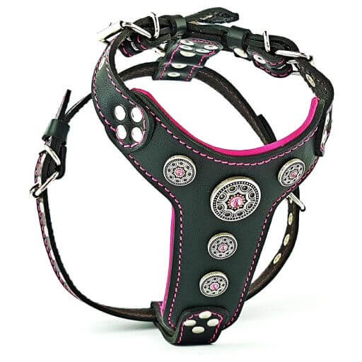 Bestia Bijou Harnais pour Chien en Cuir