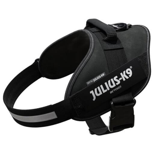 Julius K-9 Harnais