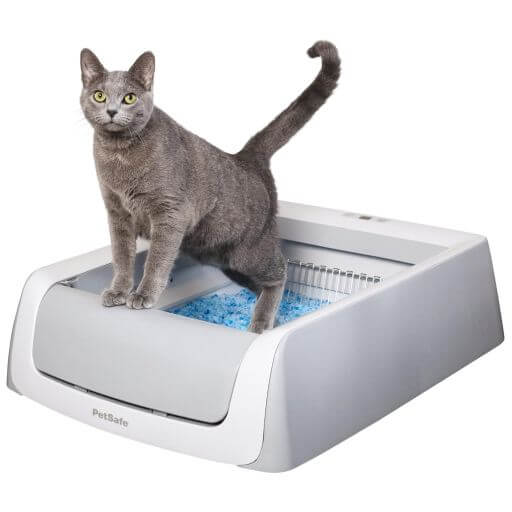 PetSafe - ScoopFree - Bac à Litière Auto-Nettoyante