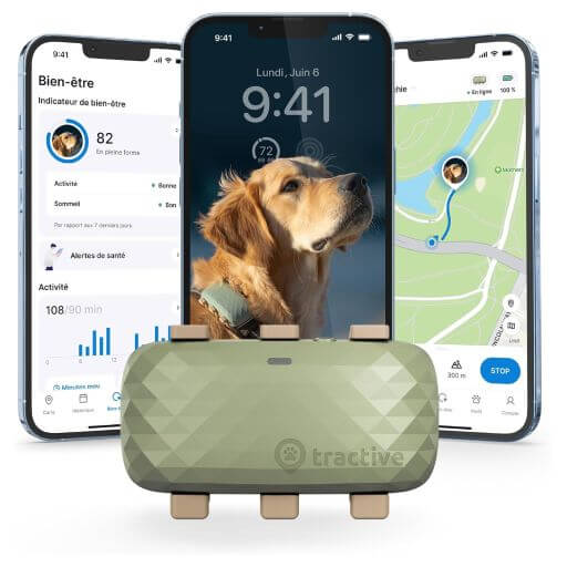 Tractive – Collier GPS pour chien XL