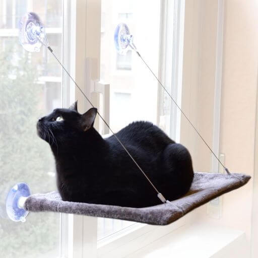 United Pets Cat View - Lit pour Chat avec Ventouses