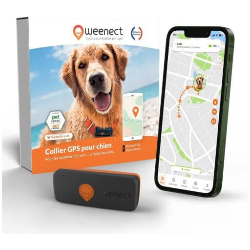 Weenect Chien XS - Mini Traceur GPS pour Chien
